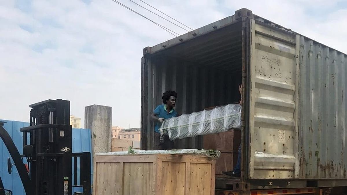 Chariot élévateur chargeant des caisses dans un conteneur pour le dédouanement de marchandises